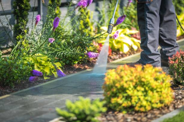 Trusted Wescosville, PA Pressure Washing Services Experts
